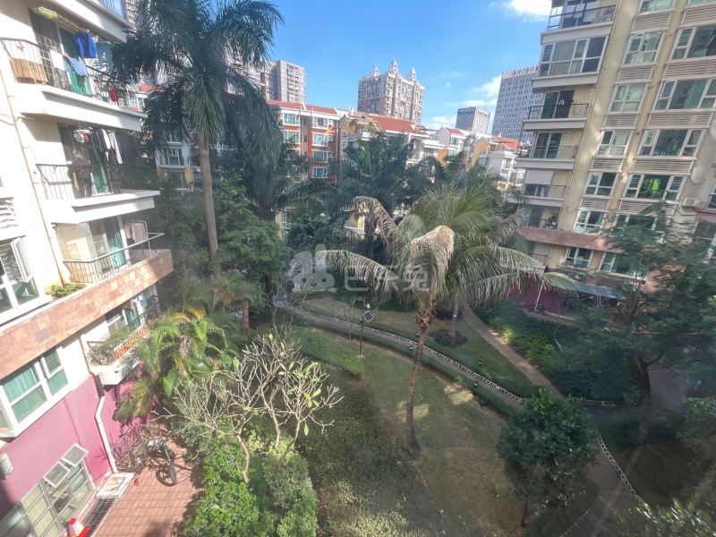 阳光棕榈园5815155周边环境图15