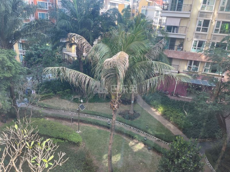 阳光棕榈园5815155周边环境图16