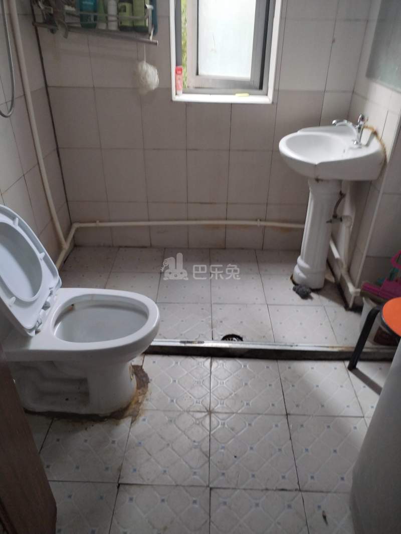 徐汇新城（龙吴路1717弄）245782卫生间图4