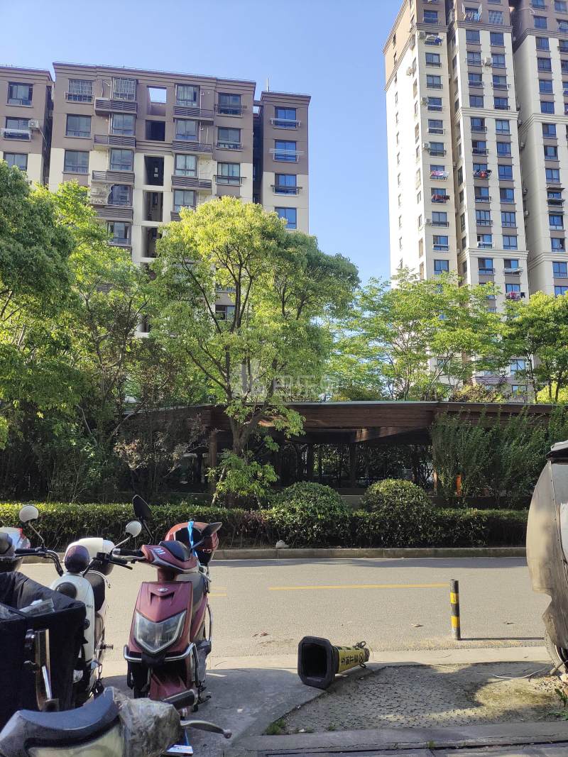 国伟新苑2473638周边环境图13