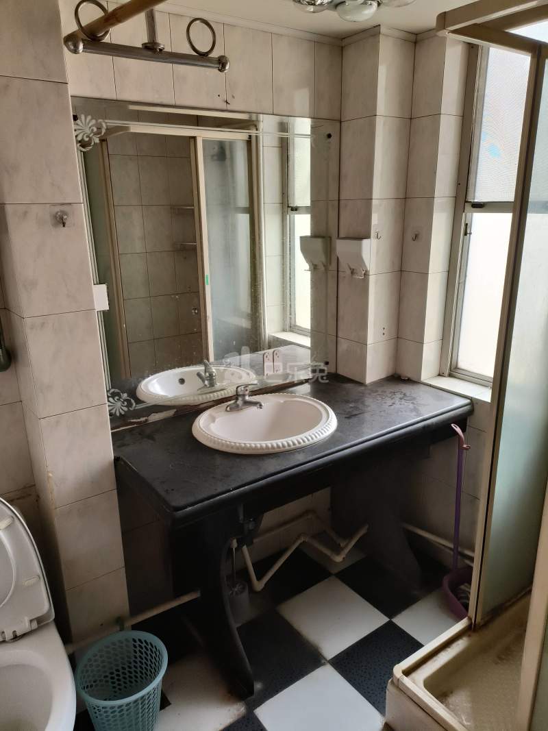 金塔新村（一、二、三村）2501222卫生间图8