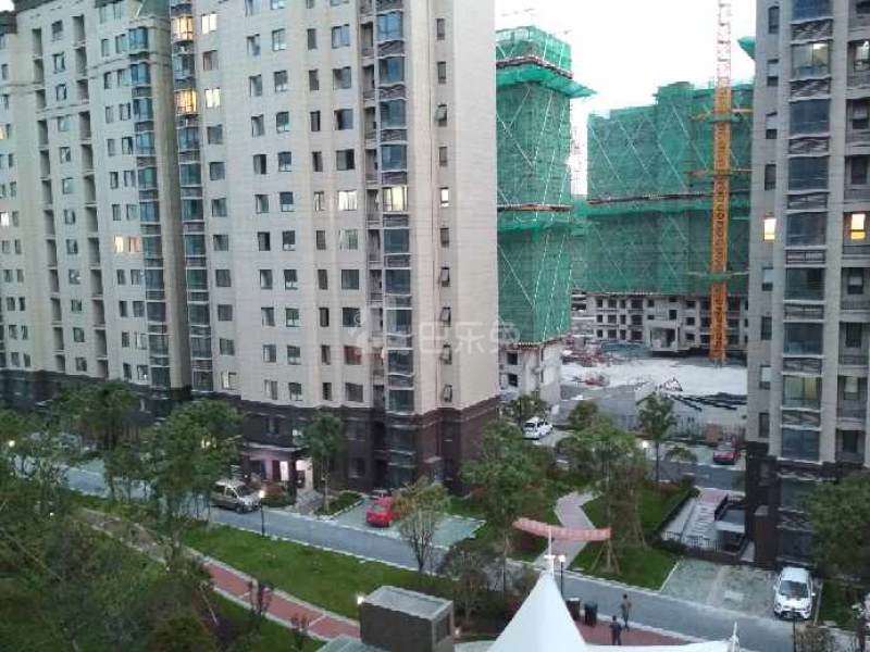 泗泾新苑西区18353117周边环境图9