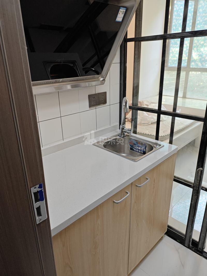 丽景苑（松江）2655068厨房图4