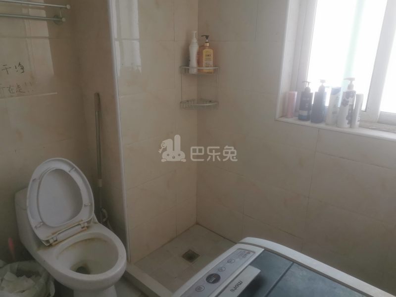 汇郡海棠苑（浦东）11874848卫生间图11