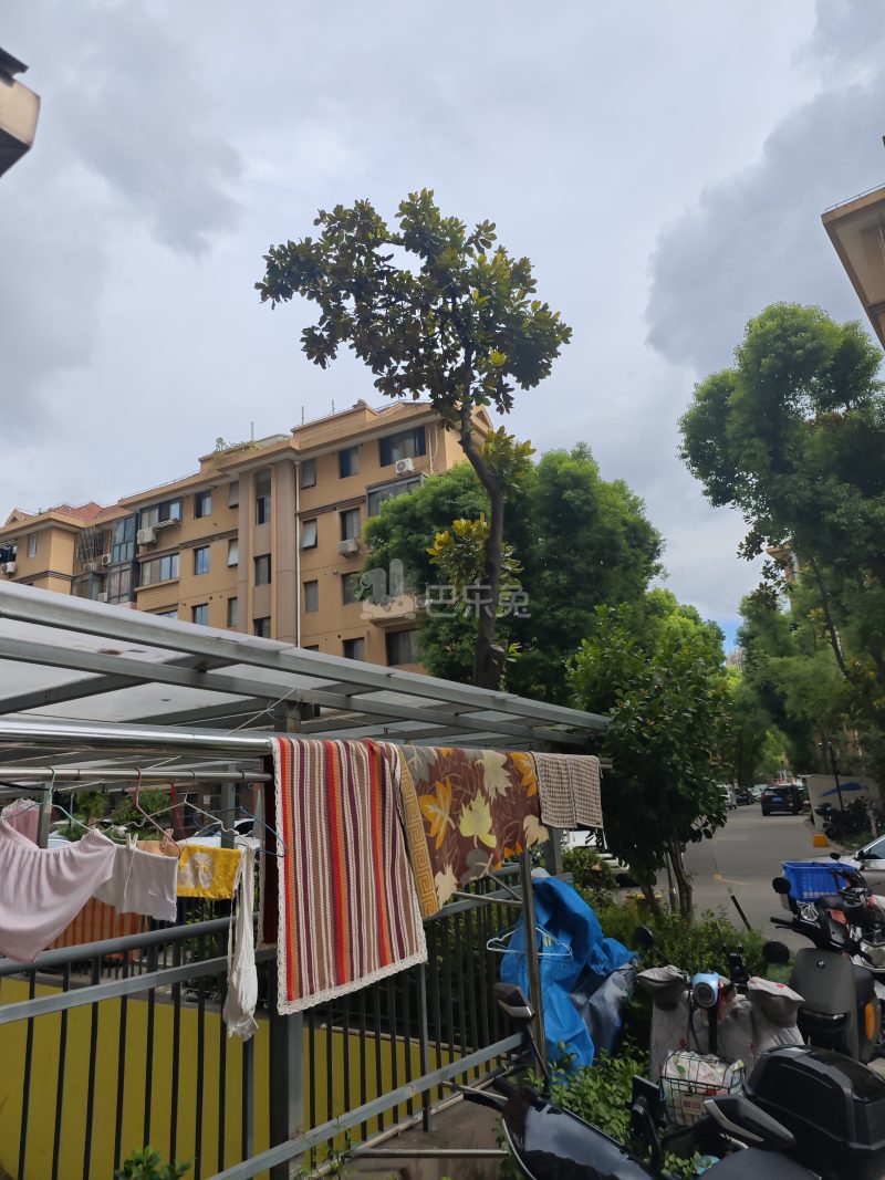 大华锦绣华城第四街区（振东花苑小区）2780725周边环境图17