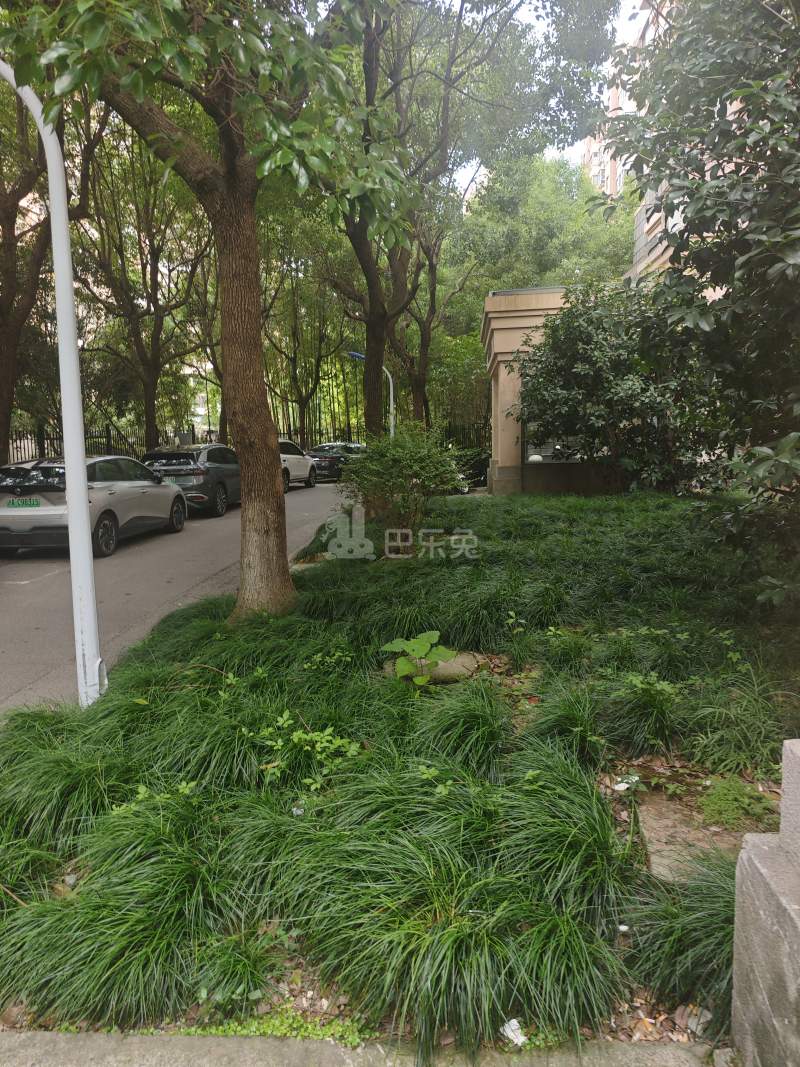 金桥新城金舍苑2795289周边环境图13