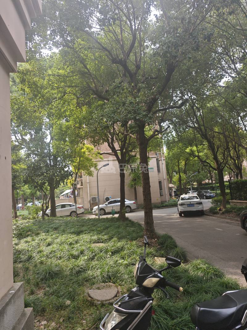 金桥新城金舍苑2795289周边环境图12