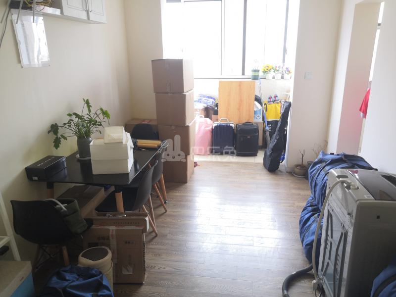 金桥新城金舍苑2795289客厅图5