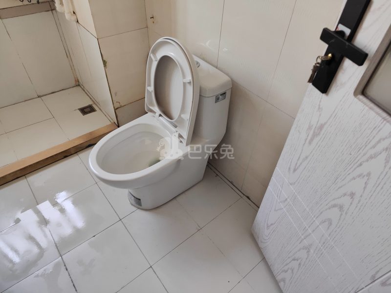 虹叶花苑3027706卫生间图21