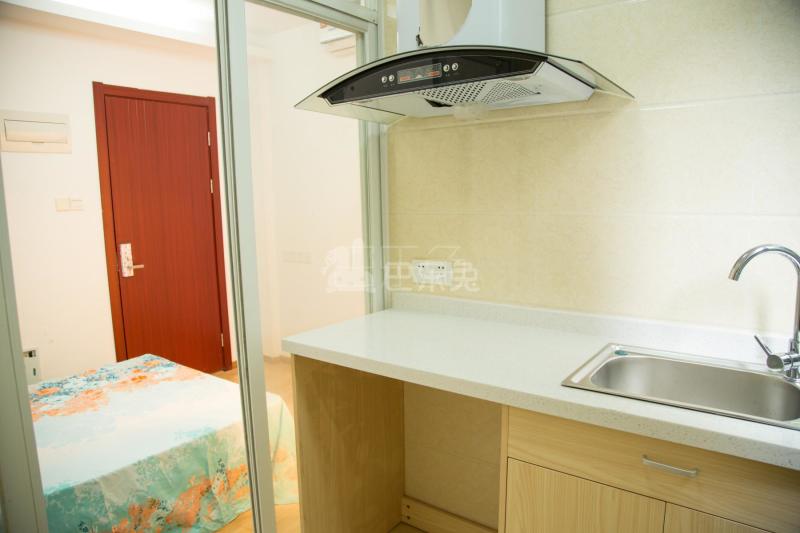 青新公寓313810厨房图12