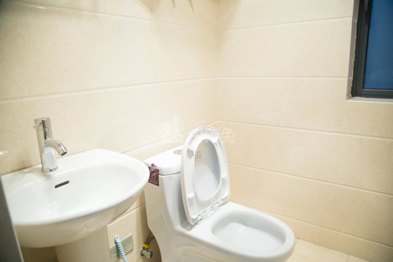 青新公寓313810卫生间图20