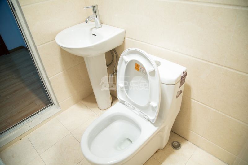 青新公寓313810卫生间图21