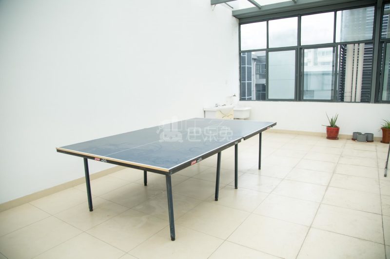 青新公寓313810周边环境图37