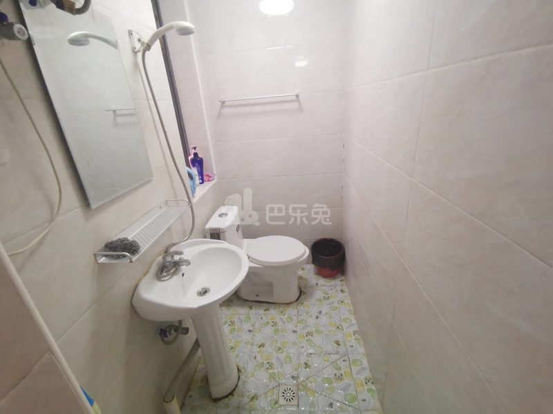 大华锦绣华城第四街区（振东花苑小区）3153535卫生间图7