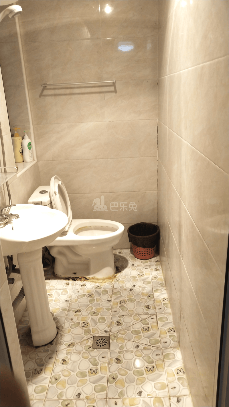 大华锦绣华城第四街区（振东花苑小区）3153535卫生间图6