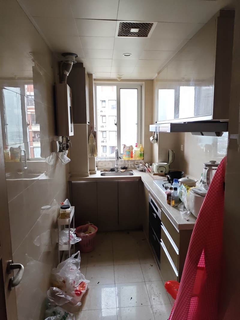 金地自在城三期A区（金地褐石苑A区）6969241厨房图8