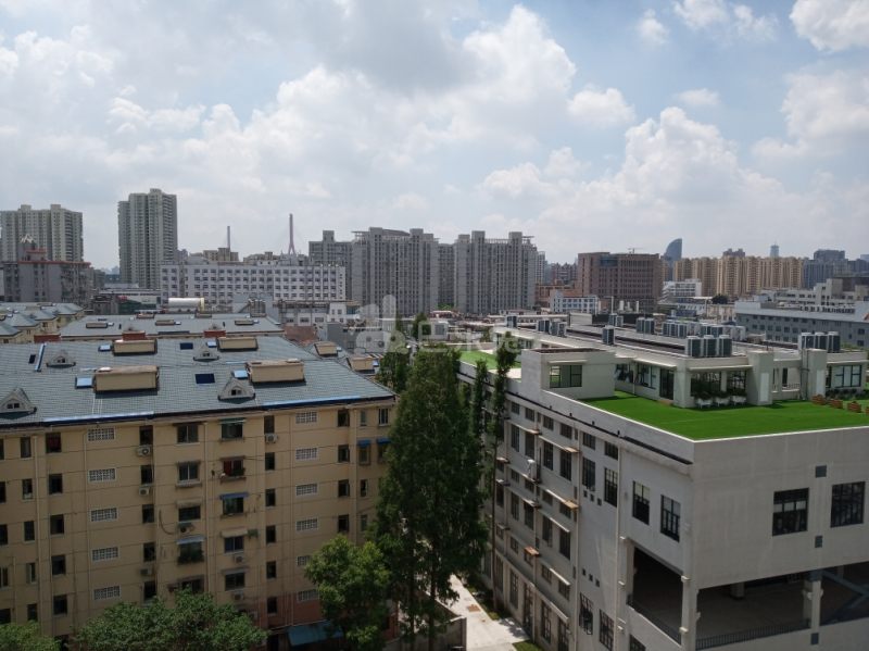 紫华丽苑3299420周边环境图9