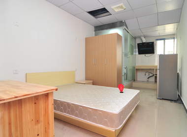 有力公寓（三林路235号） 1室0厅1卫