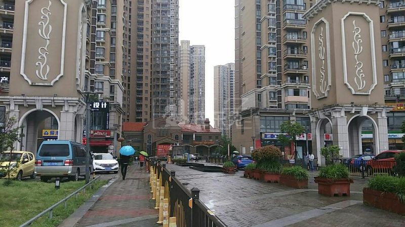 鑫苑国际城市花园5608577周边环境图6