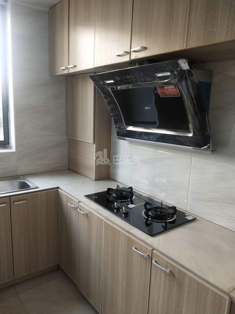 华泾绿苑3419986厨房图5