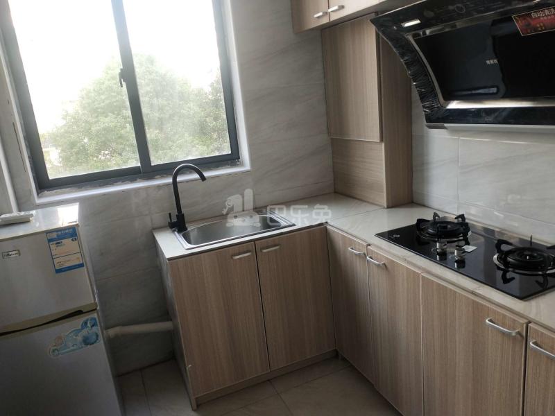 华泾绿苑3419986厨房图6