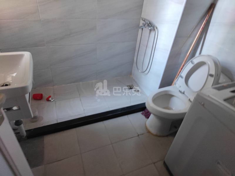 华泾绿苑3419986卫生间图10