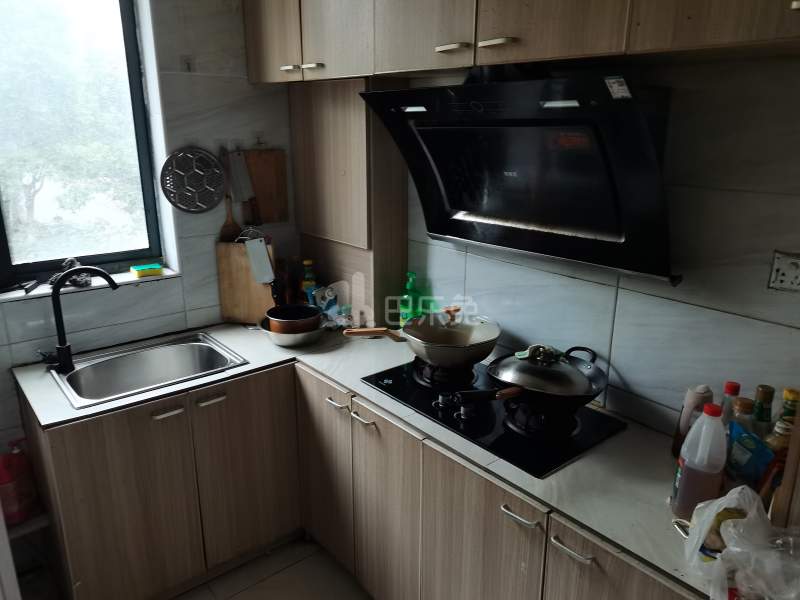 华泾绿苑3419986厨房图4