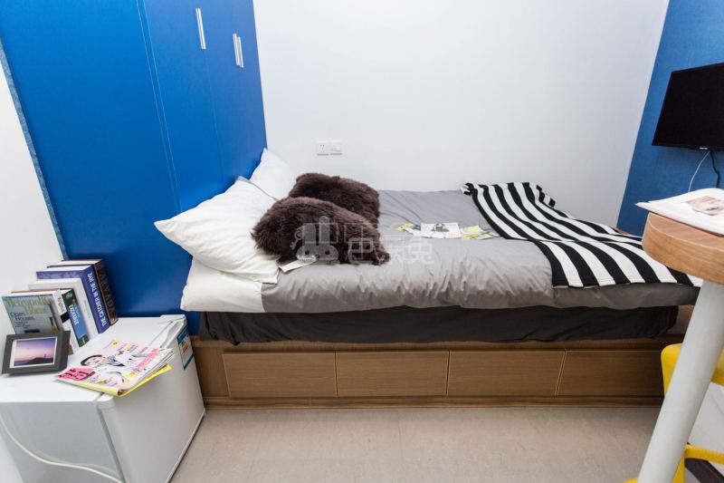 未来域壹极公寓（宜山路店）343931卧室图2