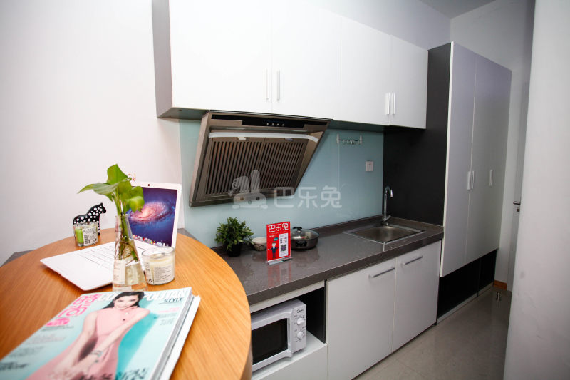 未来域壹极公寓（宜山路店）343966厨房图10