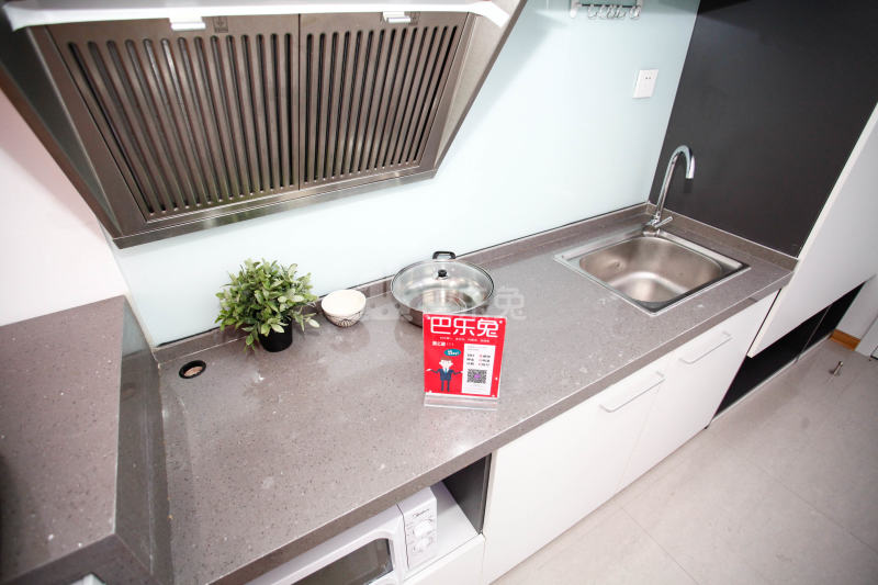 未来域壹极公寓（宜山路店）343966厨房图11