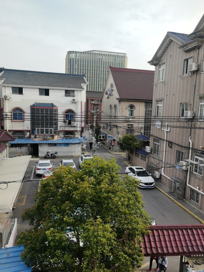 罗家四队（民房）3541990周边环境图6