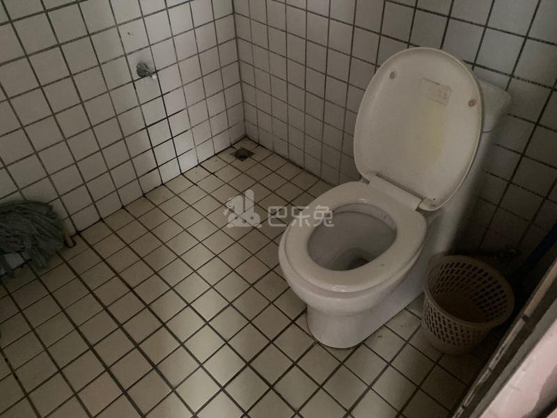 河畔公寓（天河区河水大街35号C栋）3614261卫生间图4