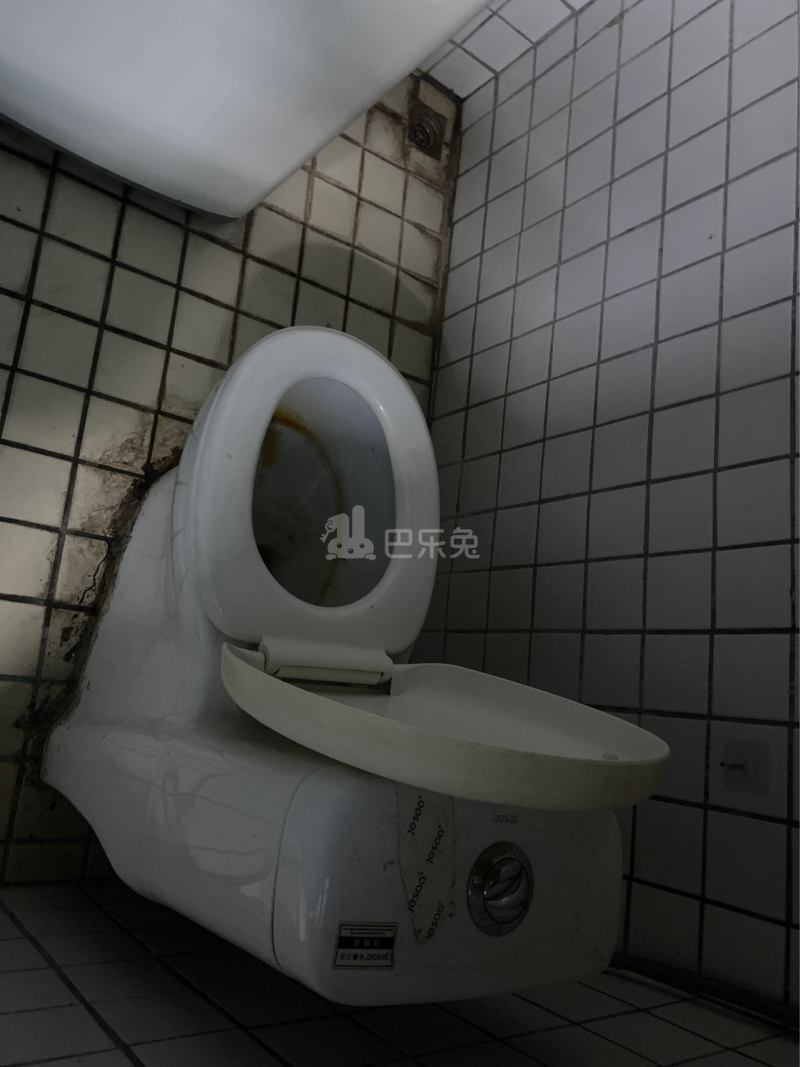 河畔公寓（天河区河水大街35号B栋）3614417卫生间图4