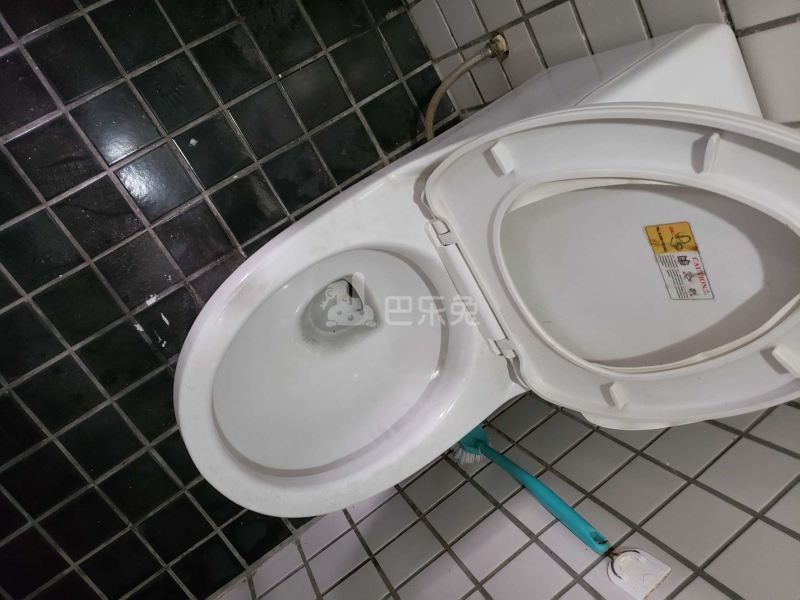 河畔公寓（天河区河水大街35号B栋）3614426卫生间图5