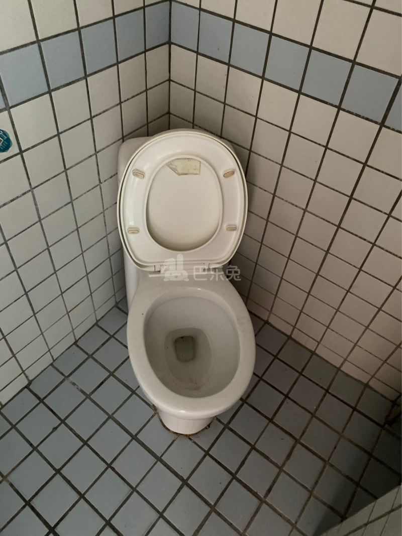 河畔公寓（天河区河水大街35号A栋）3621065卫生间图4