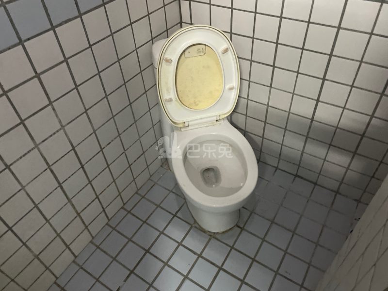 河畔公寓（天河区河水大街35号A栋）3621080卫生间图4