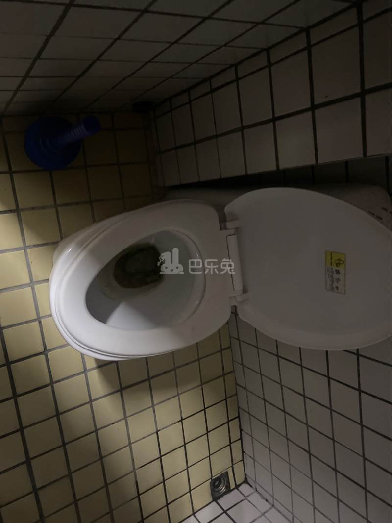 河畔公寓（天河区河水大街35号A栋）3621097卫生间图4