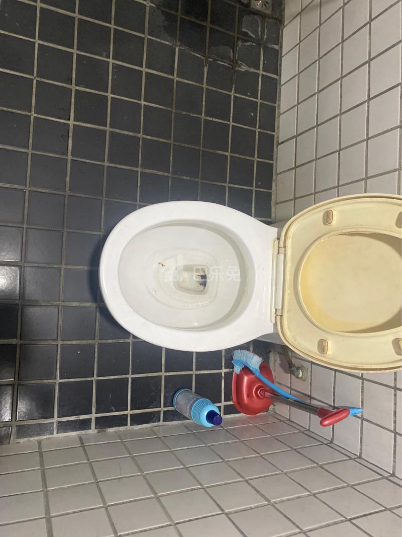 河畔公寓（天河区河水大街35号A栋）3621109卫生间图4