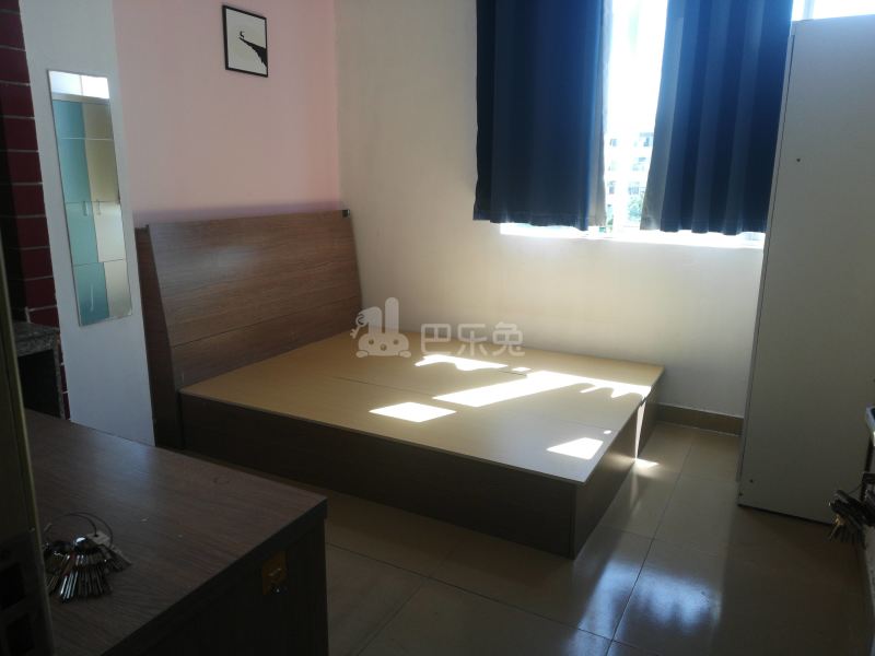 河畔公寓（天河区河水大街35号A栋）3621119客厅图4