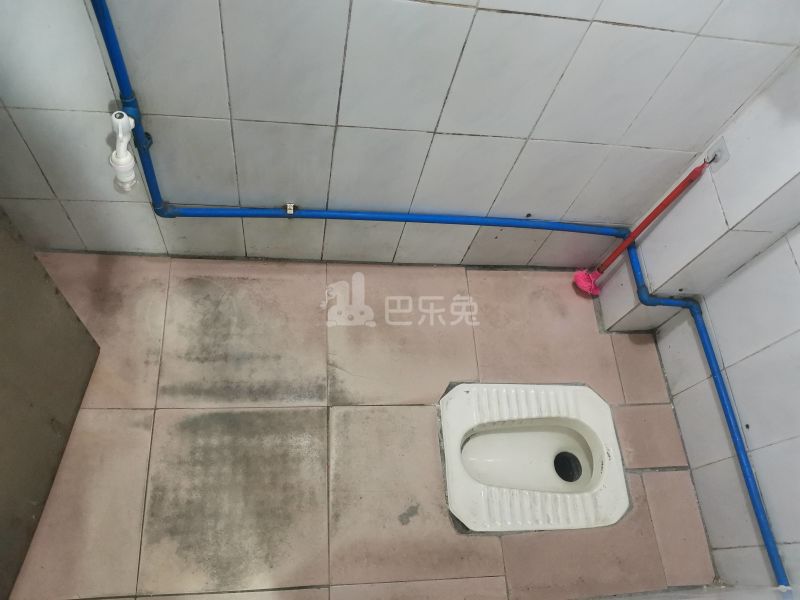 荷光电梯大楼（上社东升大街三巷5号）3632596卫生间图5