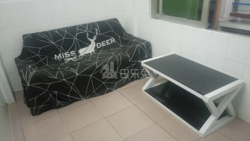 程界西村中间塘13号3736448客厅图4