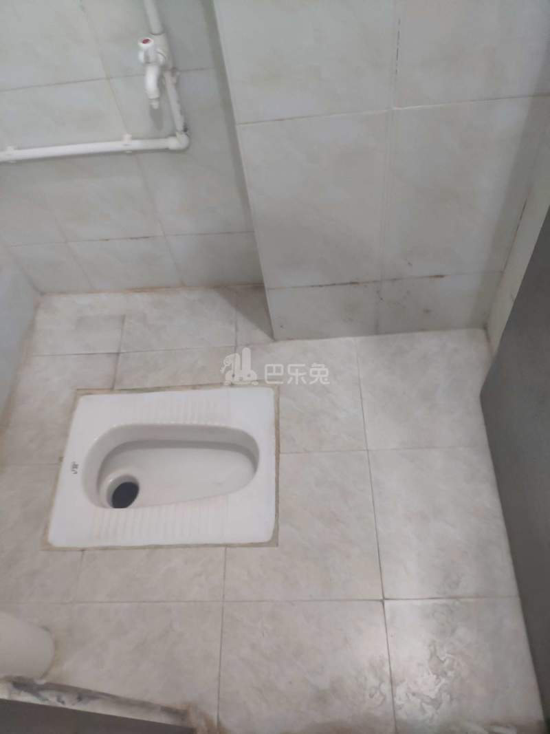 下元岗东头四巷2号之一3747975卫生间图5