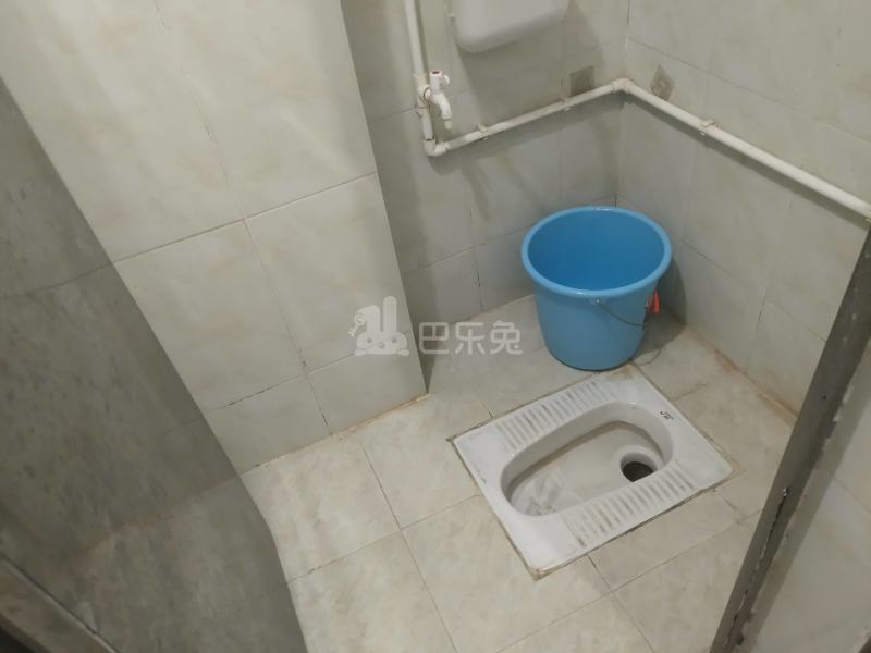 下元岗东头四巷2号之一3747983卫生间图12