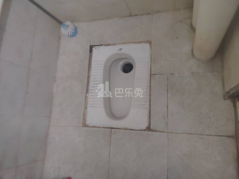 下元岗东头四巷2号之一3747988卫生间图9