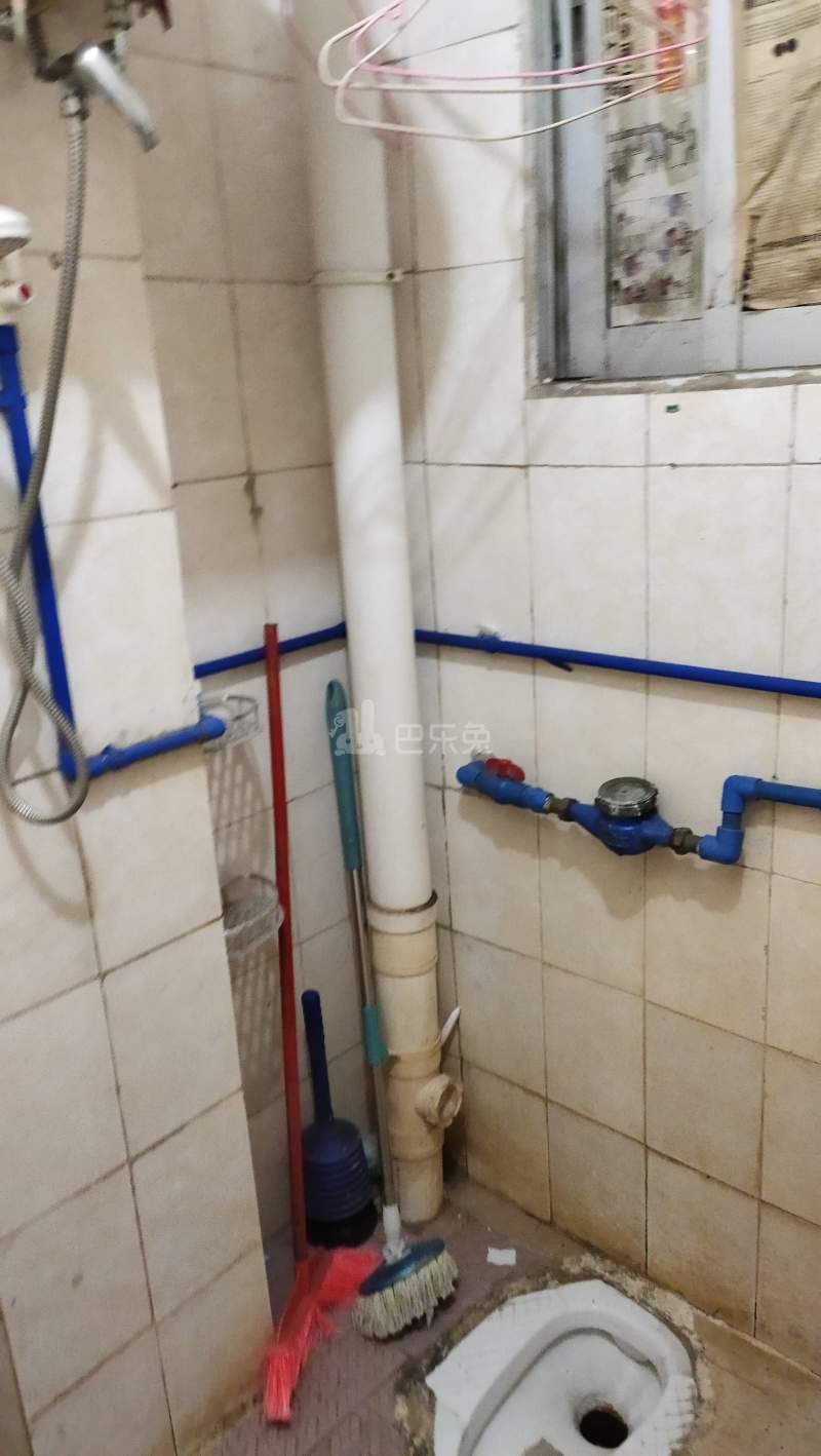 下元岗西街十巷10号3748069卫生间图4