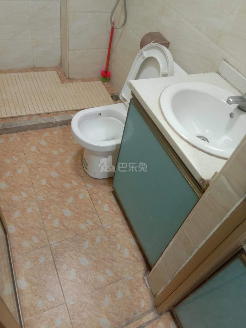 浪漫满屋（彭西新村一街7号）3852256卫生间图4