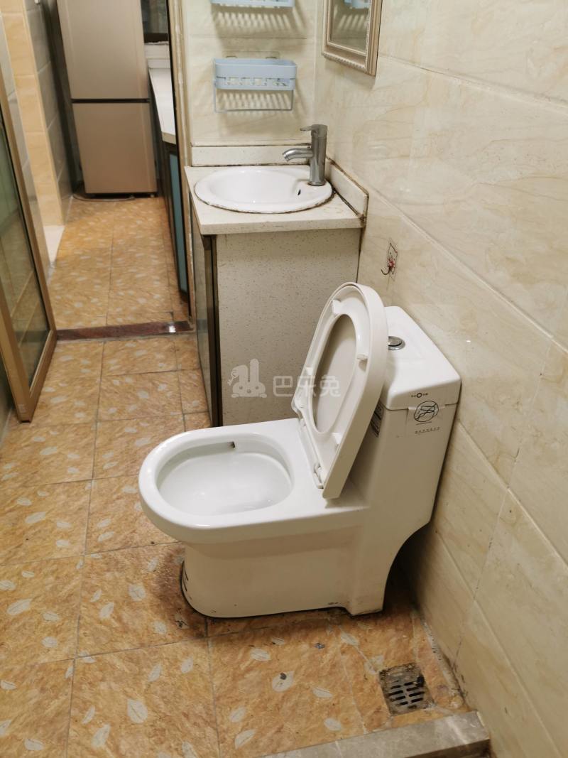 浪漫满屋（彭西新村一街7号）3852275卫生间图5