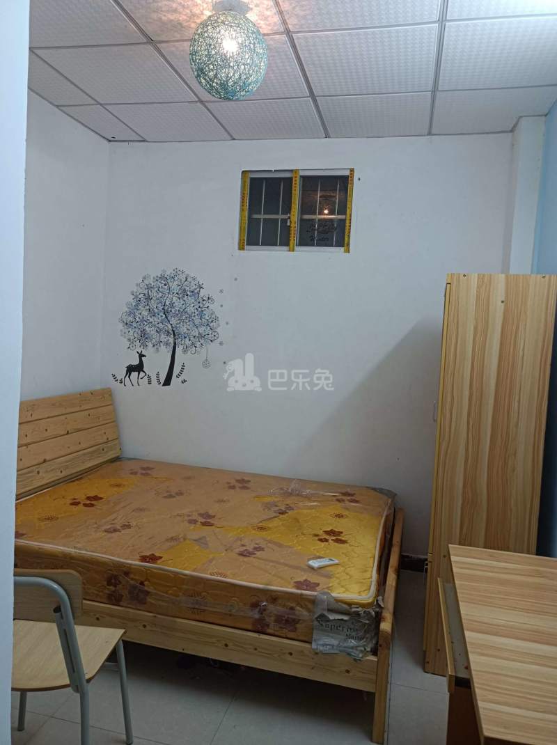 青龙一街12-1号3875549客厅图4