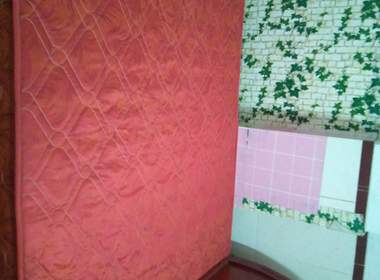 豪华电梯公寓（江夏榕树直街二巷20号） 1室1厅1卫