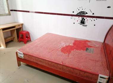 豪华电梯公寓（江夏榕树直街二巷20号） 1室0厅1卫